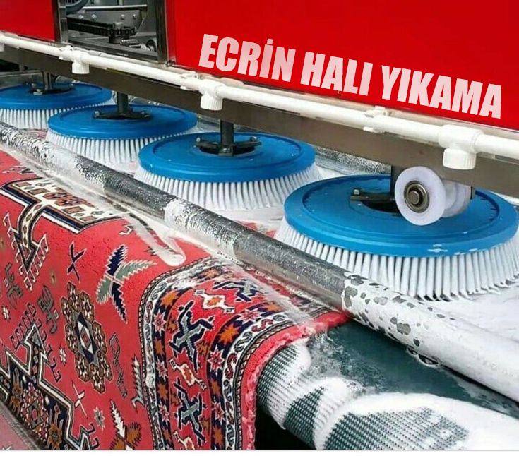 Profesyonel halı yıkama görseli